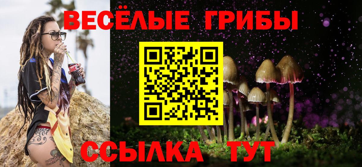 Галлюциногенные грибы MAGIC MUSHROOMS  Вход с VPN  Псилоцибиновые грибы MAGIC MUSHROOMS  Клинцы 